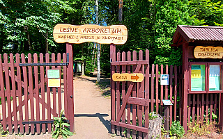 Rozpoczął się sezon w leśnym arboretum w Kudypach